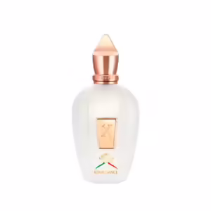 RENAISSANCE EDP